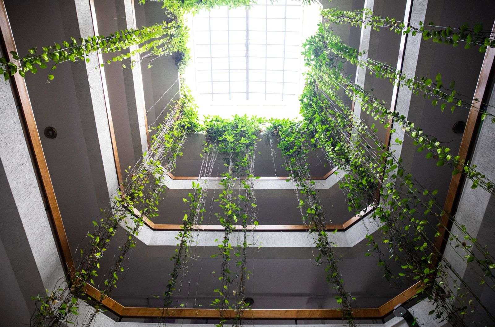 DEÜ'DEN YEŞİL BAŞARI: KARBON AYAK İZİ EN DÜŞÜK ÜNİVERSİTE